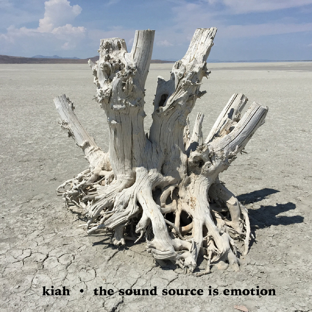 The Sound Source is Emotion